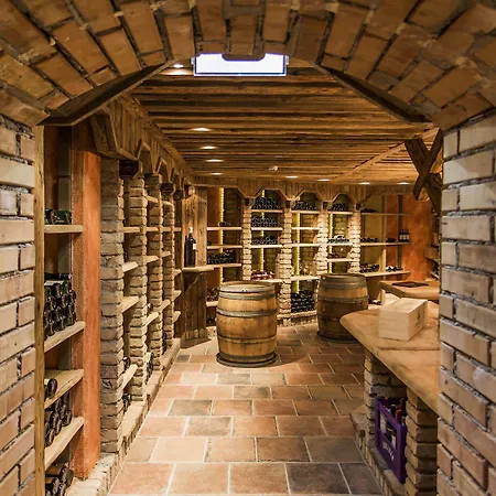 Отель Edelweiss Hochsoelden Superior Зёльден